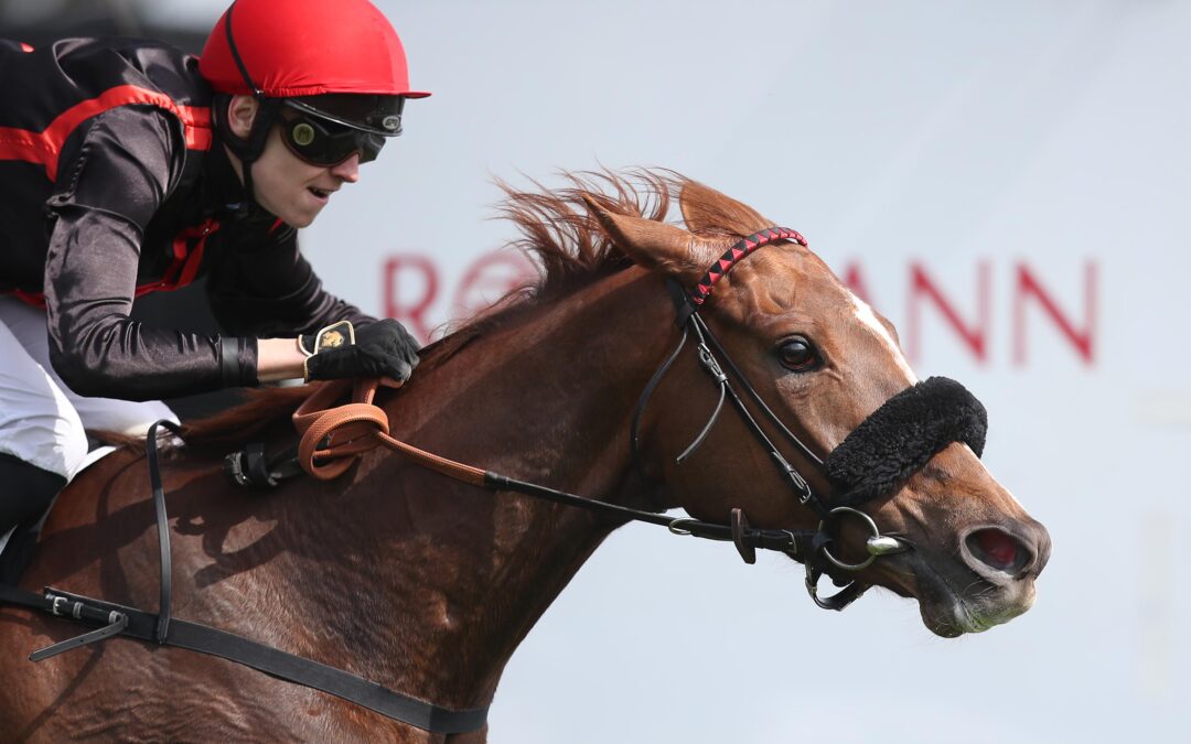 EIN GANZ SCHWERES BRETT