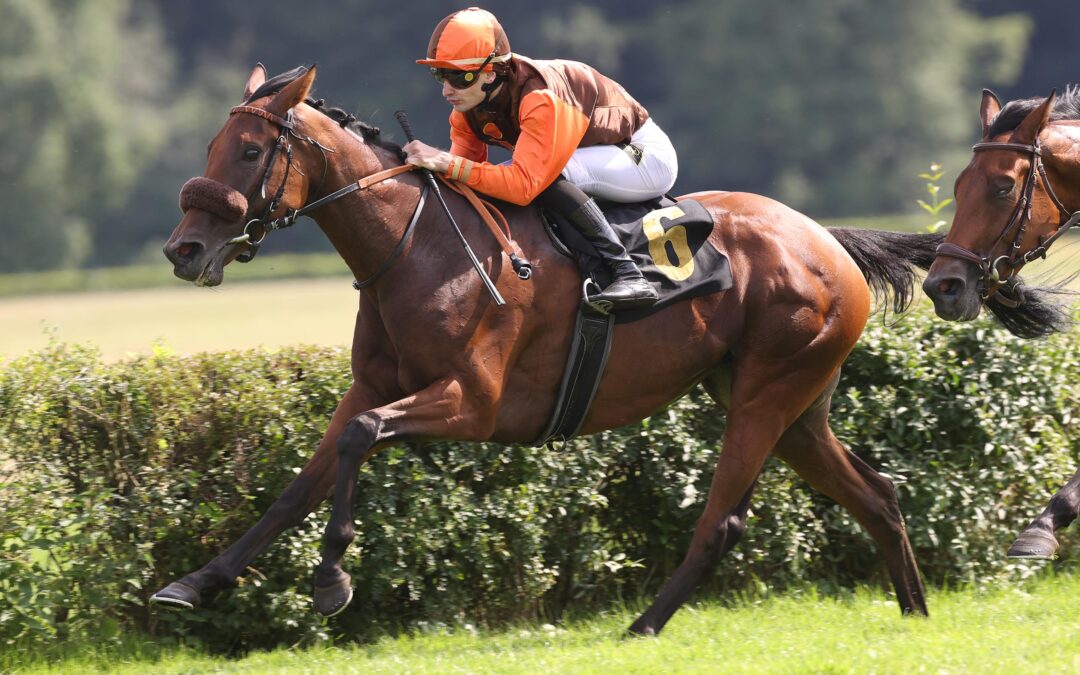 VIER AUS VIER FÜR KOFFI KICK