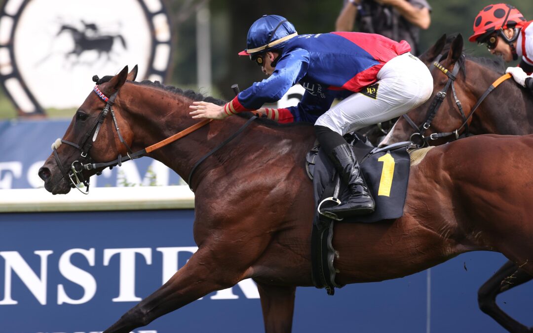 NEUNTER FÜR ONLY THE BRAVE