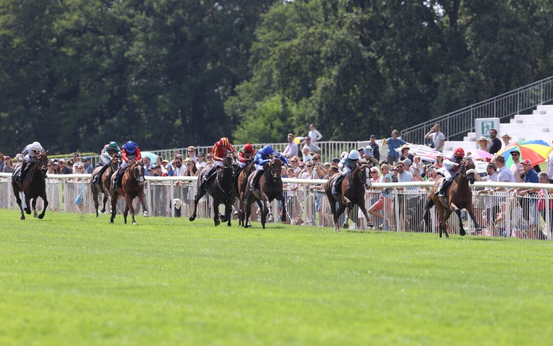 ZANDJAN MIT STREICHFORM