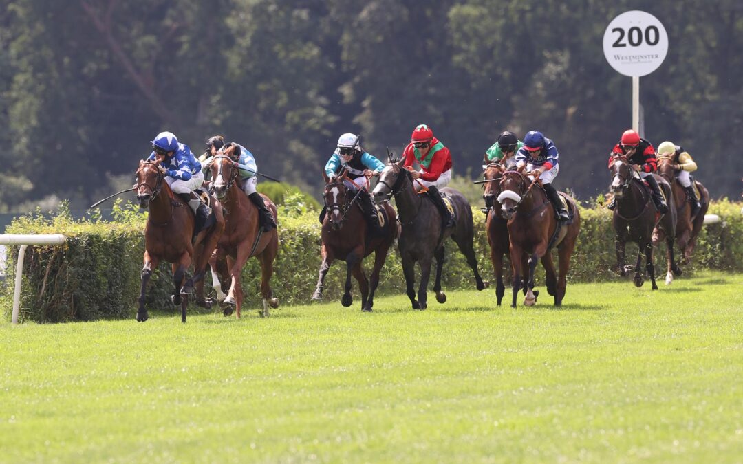 WIEDER KNAPP AN BLACK-TYPE VORBEI