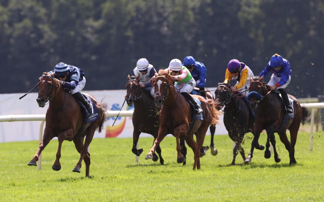 TOLLER ZWEITER/DRITTER IM GP