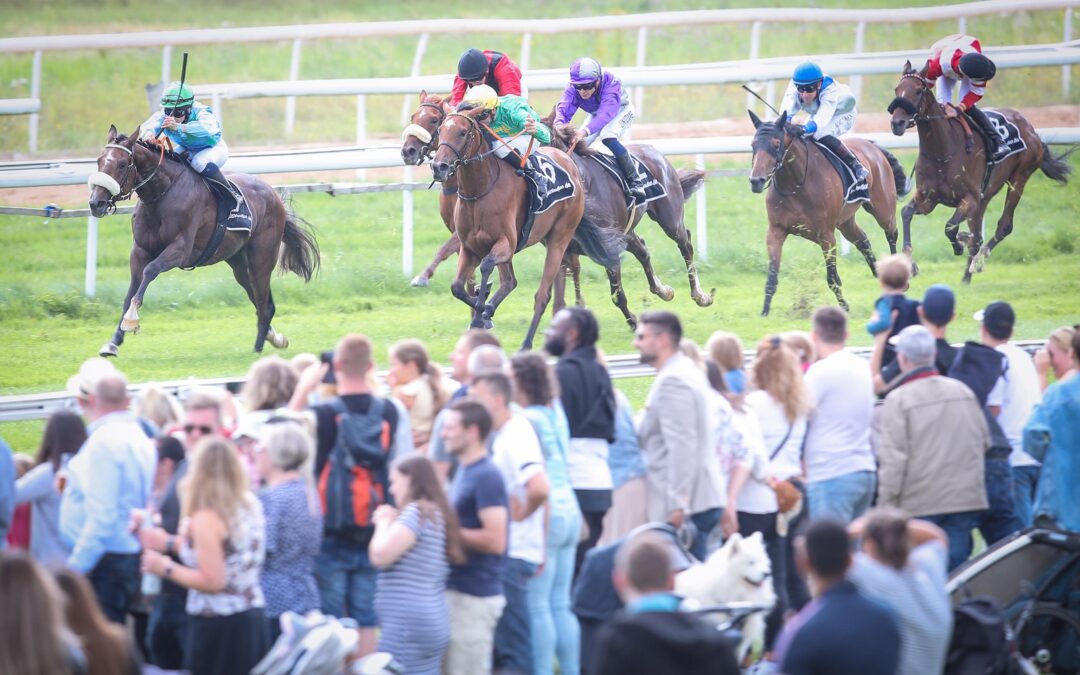 NOCH KEINE STEIGERUNG