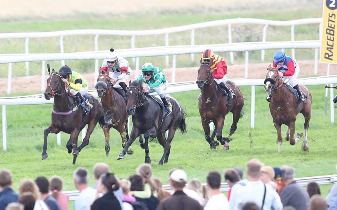 WILKO VIERTER IM BBAG