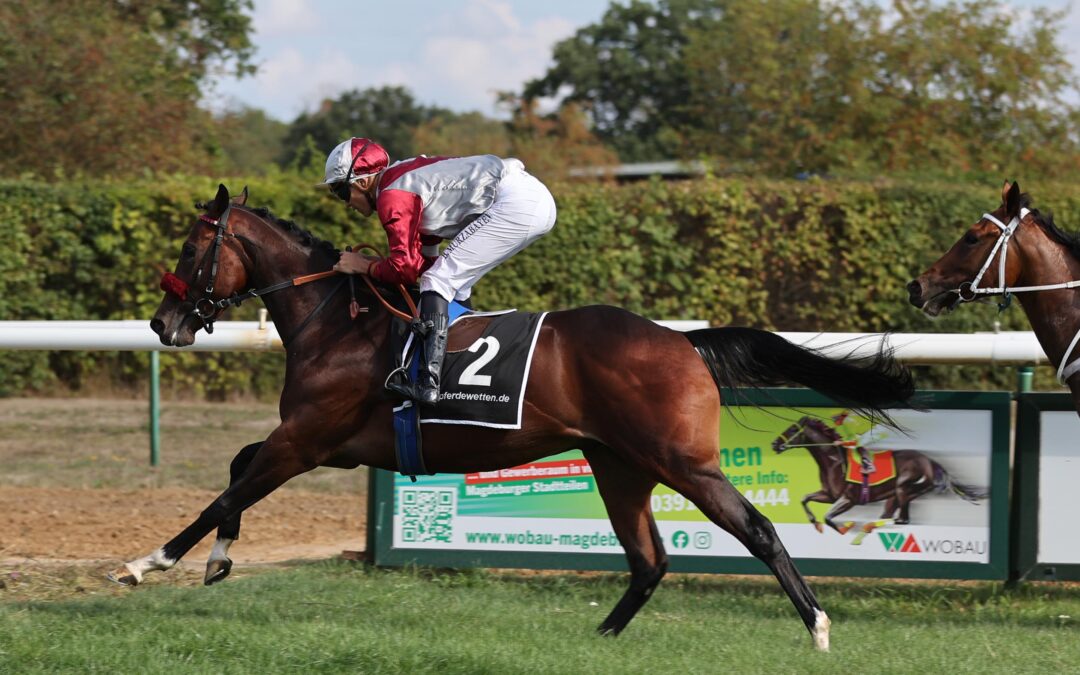 SB HELFEN NICHT – SIEBTER