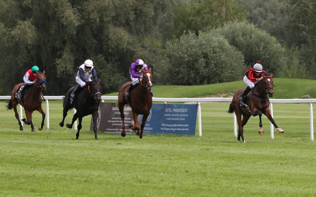 DOPPELSPITZE STICHT NICHT