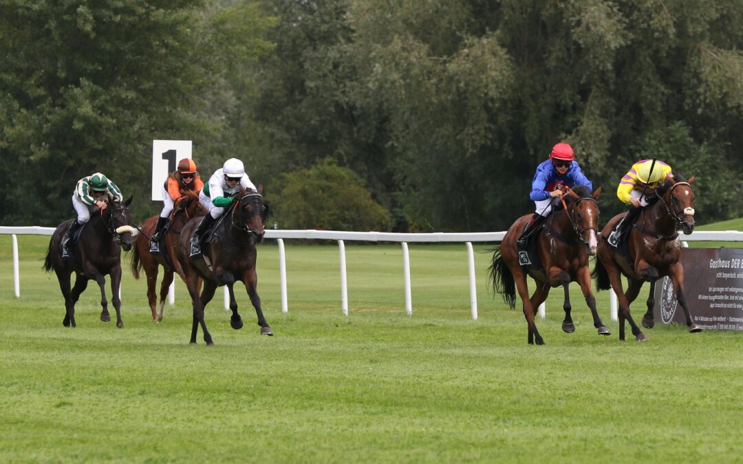 KLEINES GELD ZUM SCHLUSS