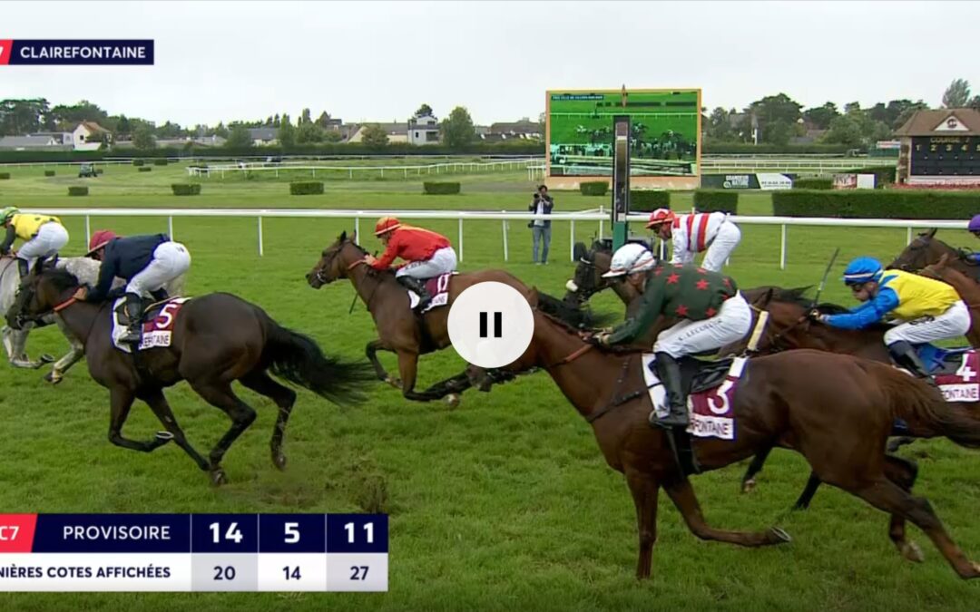 NOCH PREISGELD VERDIENT