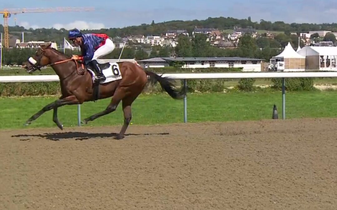 ENDLICH WIEDER UND WIE