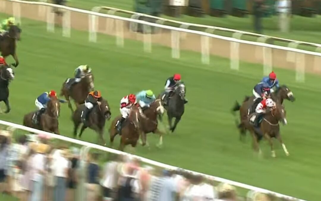 VERKORKSTES AUKTIONSRENNEN