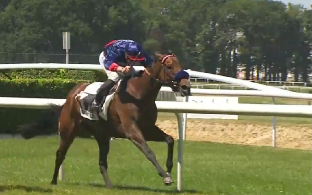 WIE IMMER MIT CHANCEN