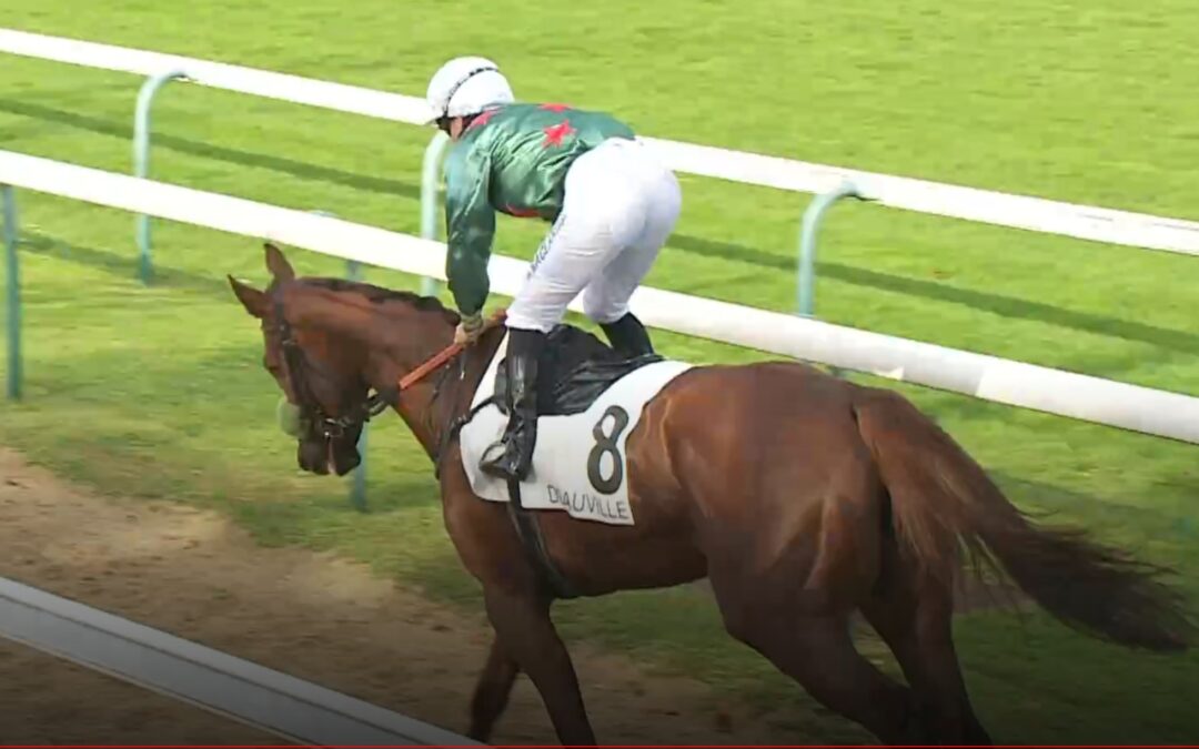 DIESMAL OHNE MÖGLICHKEITEN