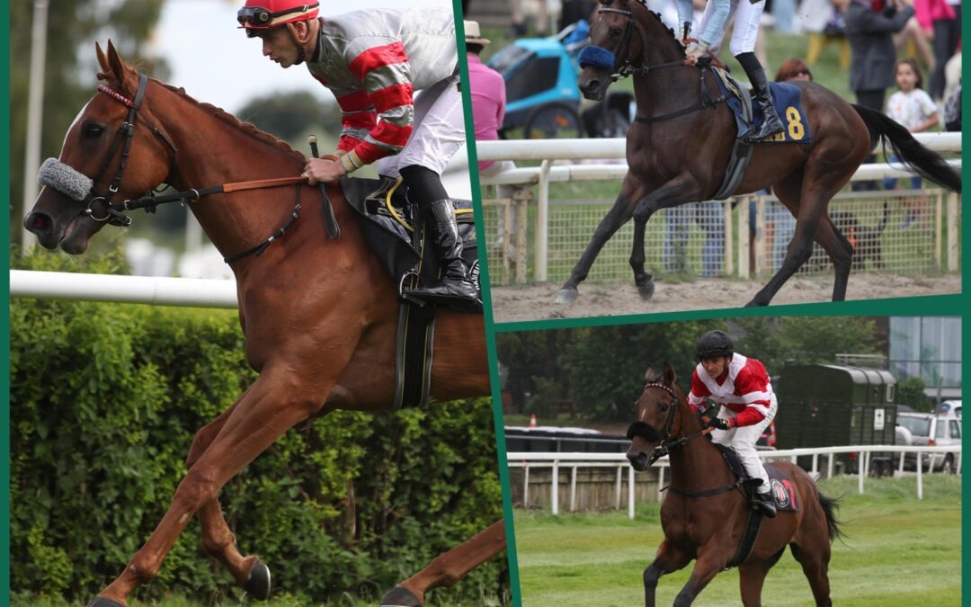 DREI ZUM BADENER BERGFEST