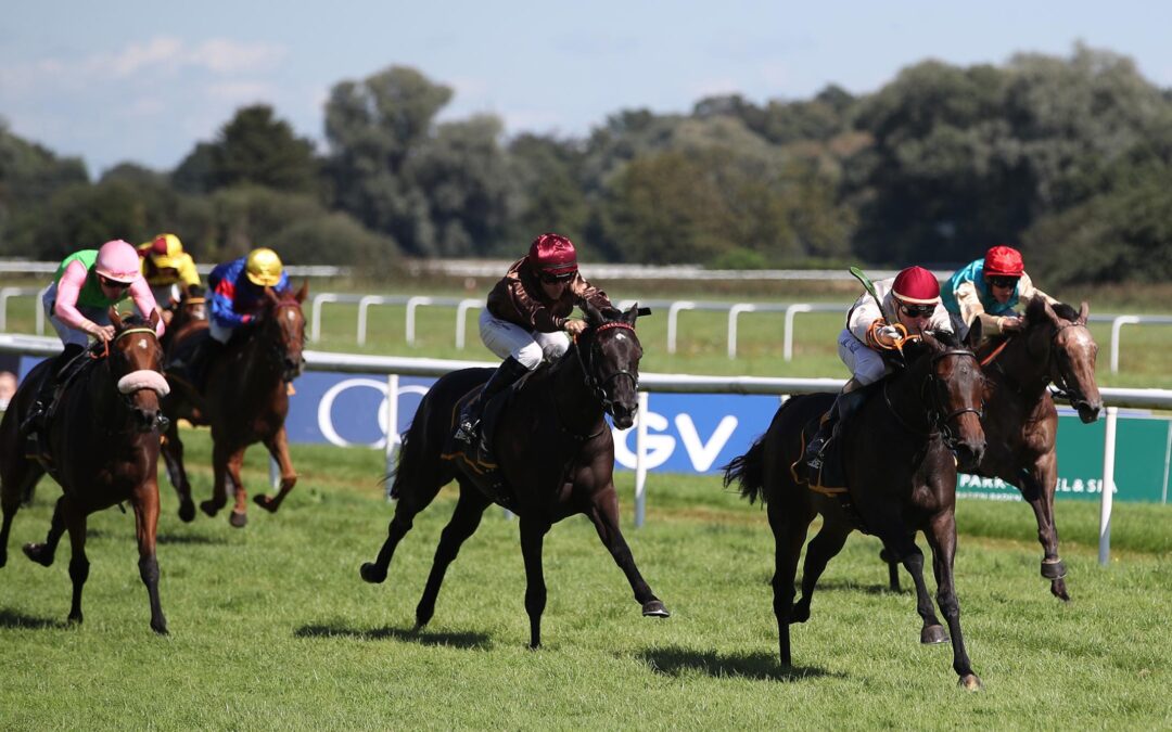 PLACIERT WIE DER BRUDER