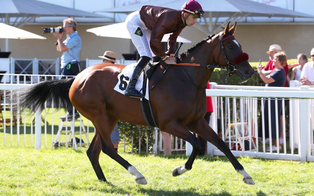 UM KLASSISCHEN LORBEER