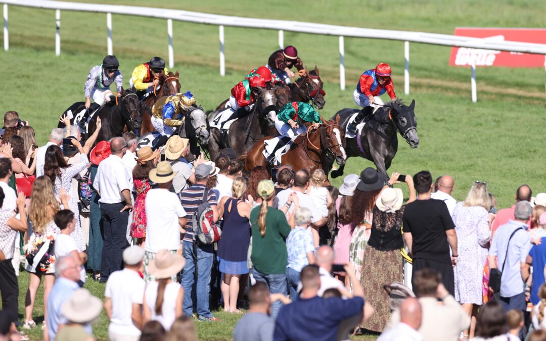 WEISSE WESTE VERLOREN