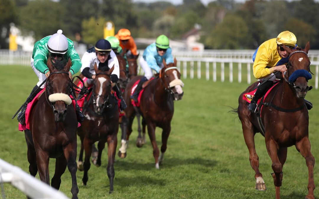 EHRENPLATZ NACH PAUSE