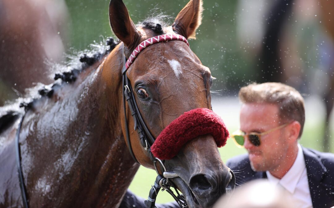 JETZT “FIFTY-FITFY” IN DEN ARC