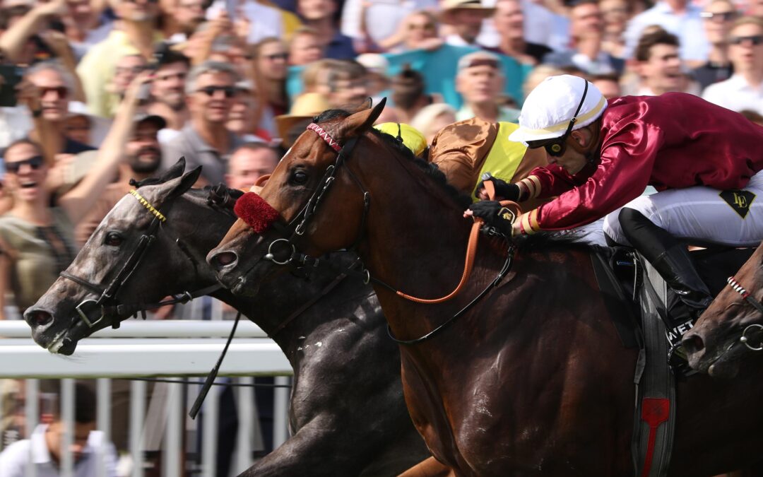 DAS SAGTEN DIE PLACIERTEN