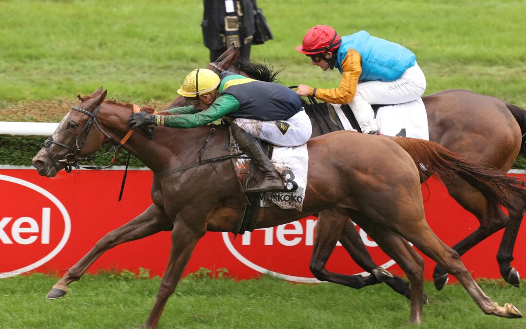 ERST SALE DANN L’OPERA