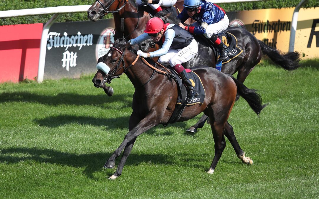 LIKE MAGIC GLEICH TOP