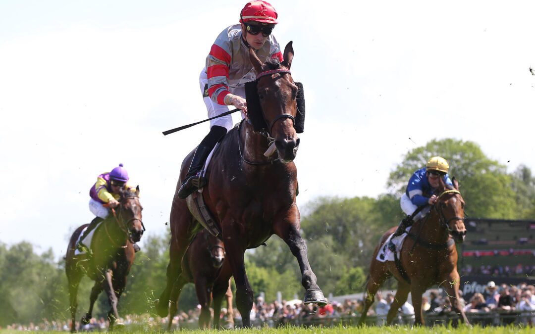 MISTER HOLLOW IST DRAN