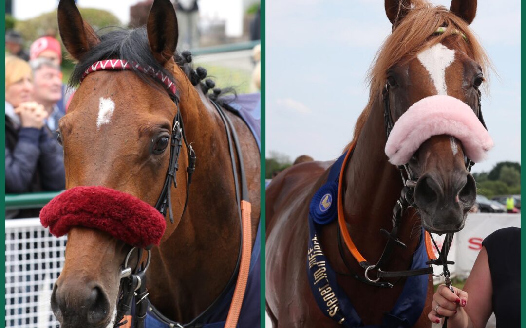 DIE ZWEI ARC STARTER