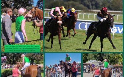 IMPRESSIONEN…