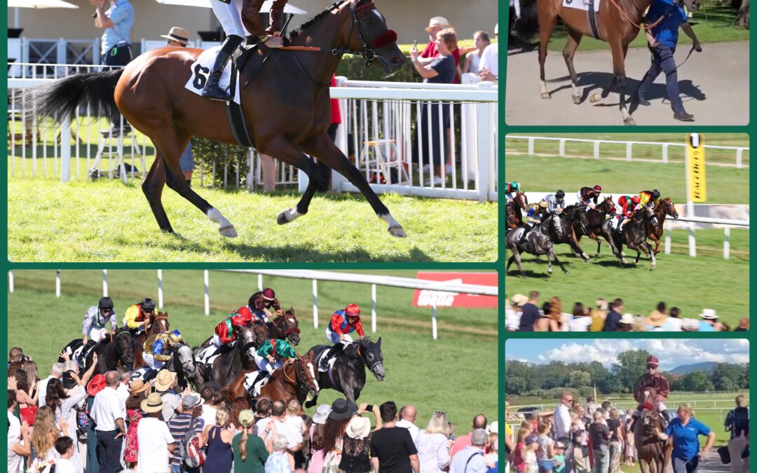 RÜCKBLICK AUF PRINCESS z