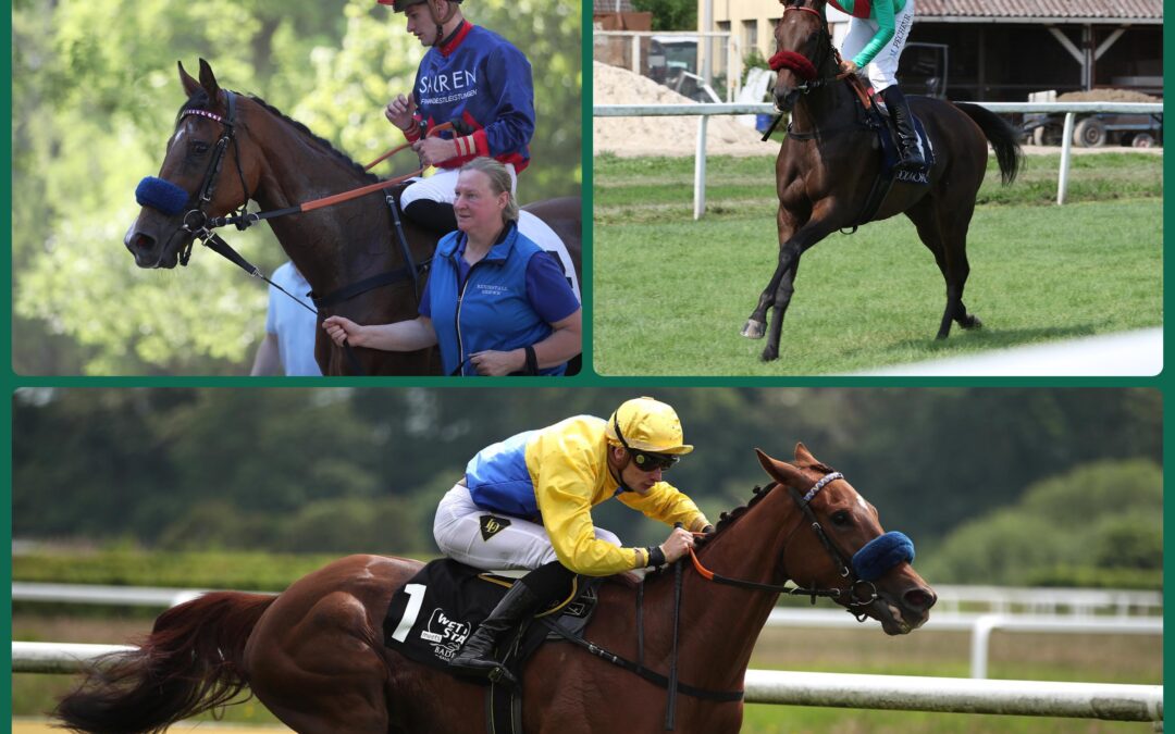 TRIO IM LISTENRENNEN