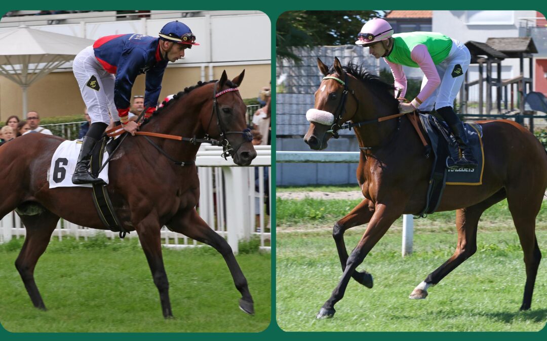 STARTERMIX KÖLN TEIL 1