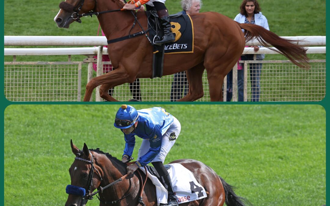 STARTERMIX KÖLN TEIL 2