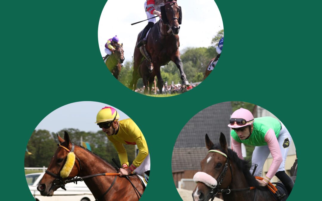 DREIFACH POWER IM BBAG