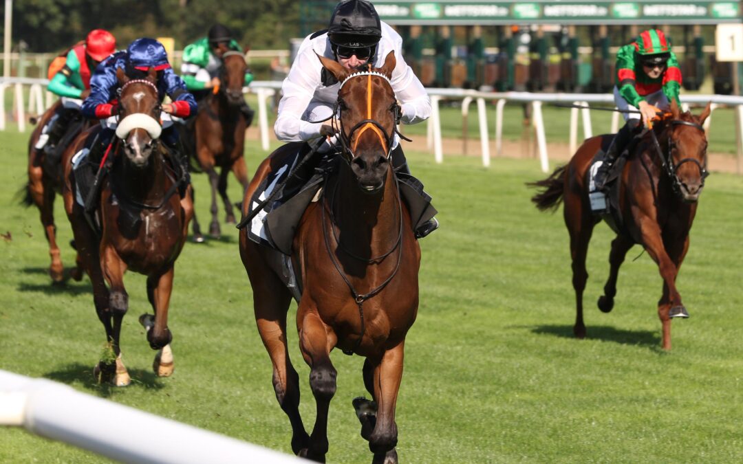 FÜNF SECHS ZWÖLF IM LR