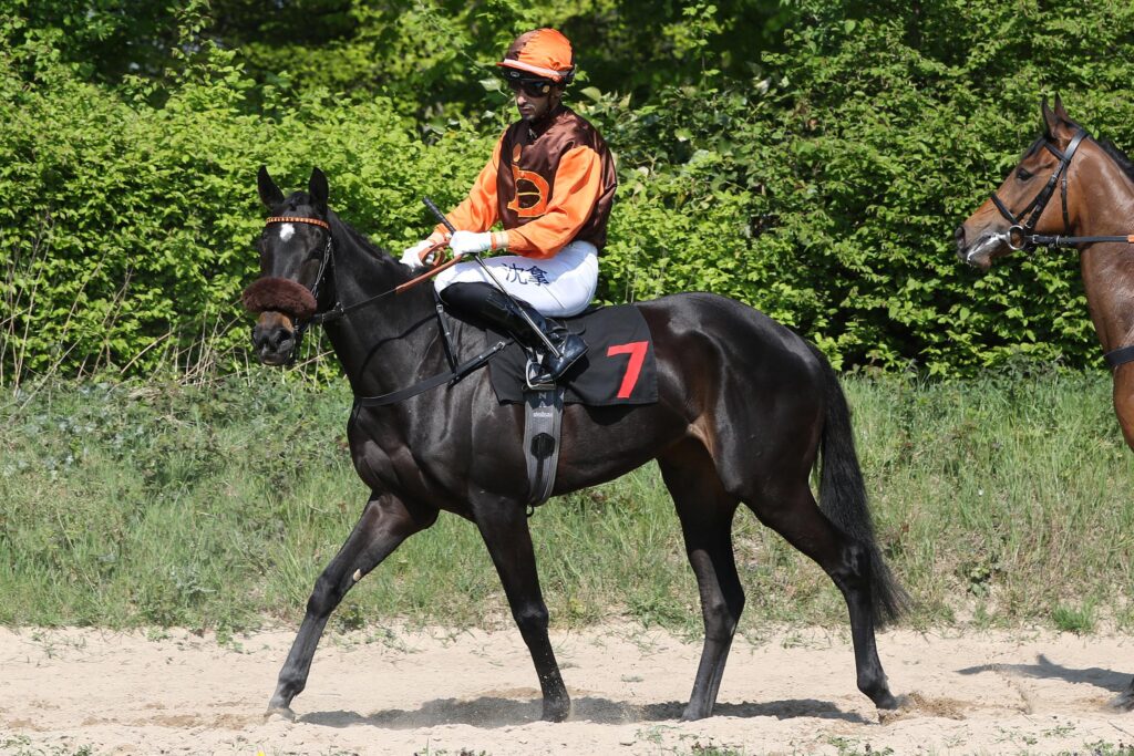 ZWEITE IN QUAkENBRÜCK