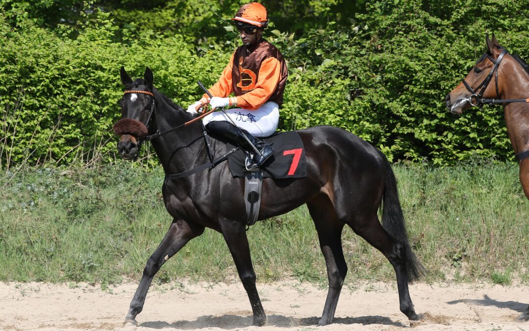 ZWEITE IN QUAkENBRÜCK