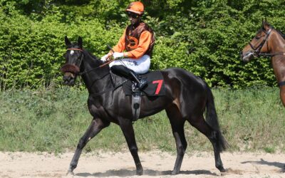 ZWEITE IN QUAkENBRÜCK