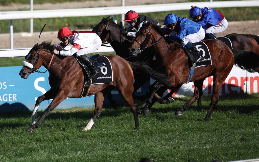 WIE IM VORJAHR VIERTER