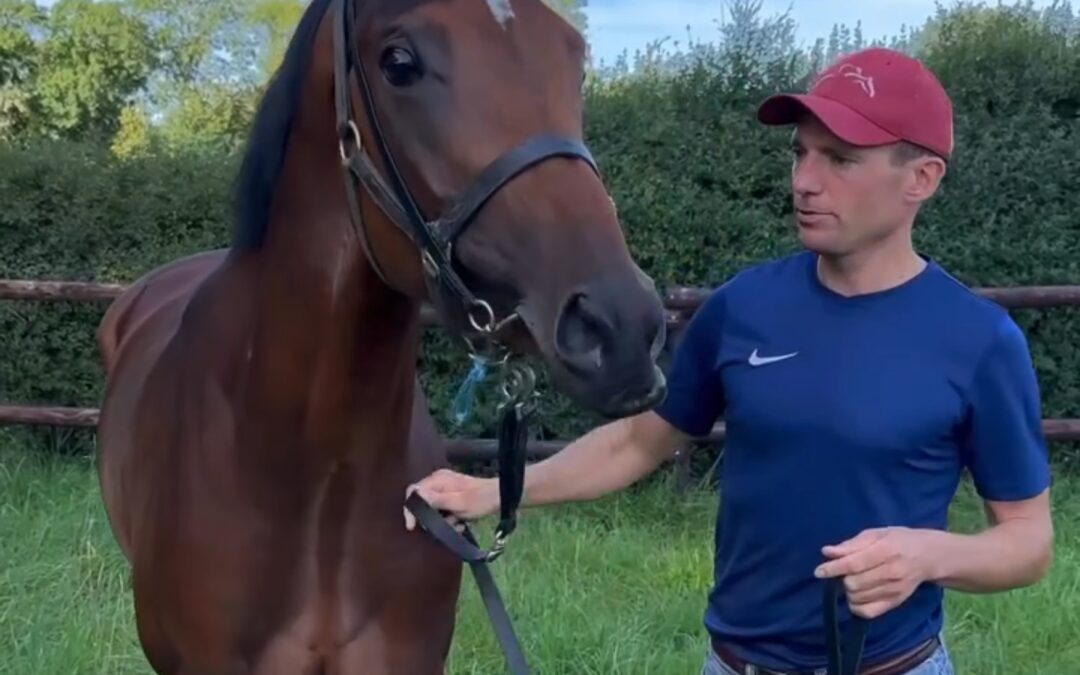 MR. HOLLYWOOD AM TAG DANACH