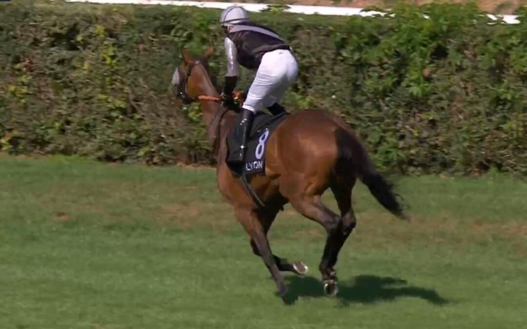 GUTE CHANCE IN NANCY