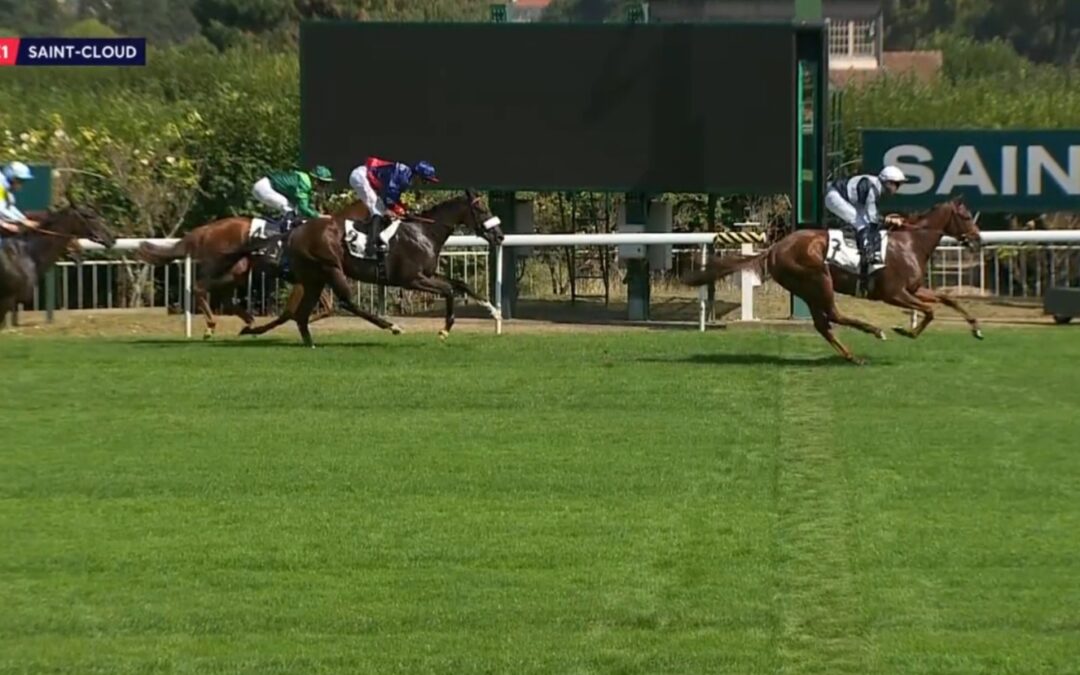 NUR EINER WAR STÄRKER