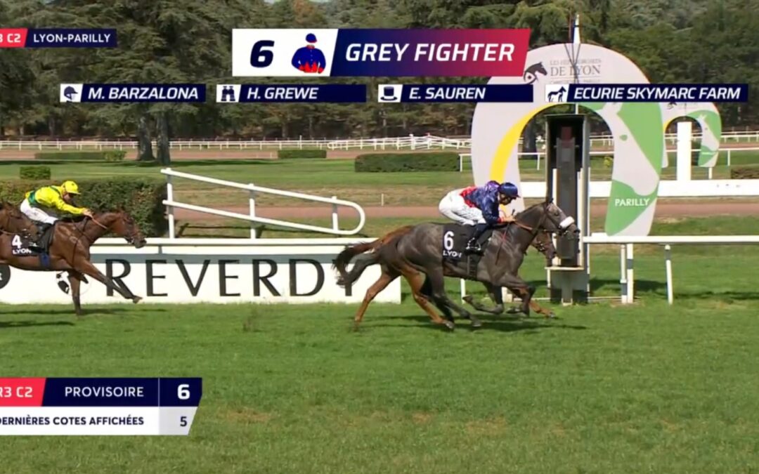 MAIDENTREFFER – GLEICH 50. SIEG