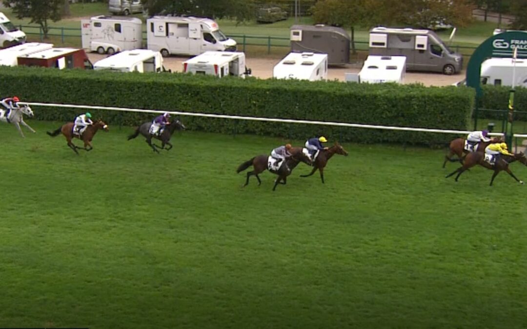 ZU SCHWER ANGETROFFEN