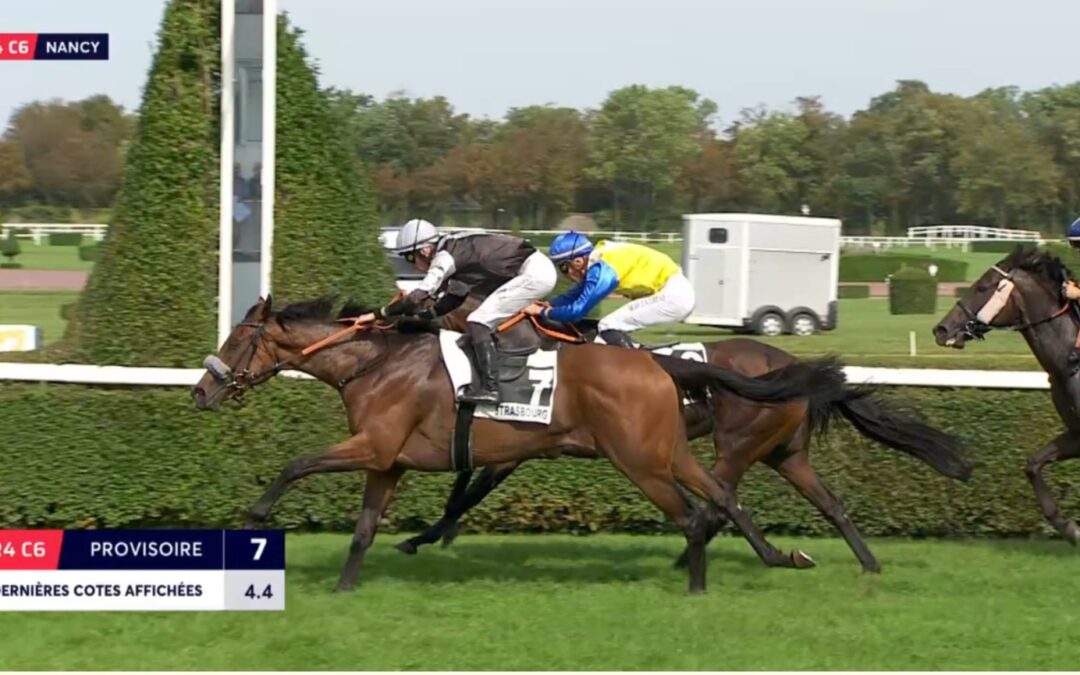 ITHAQUE DIESMAL DIE SIEGERIN