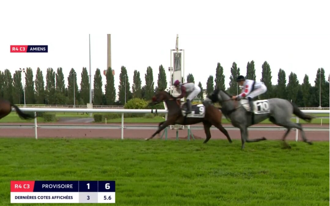 WIEDER DRITTER PLATZ