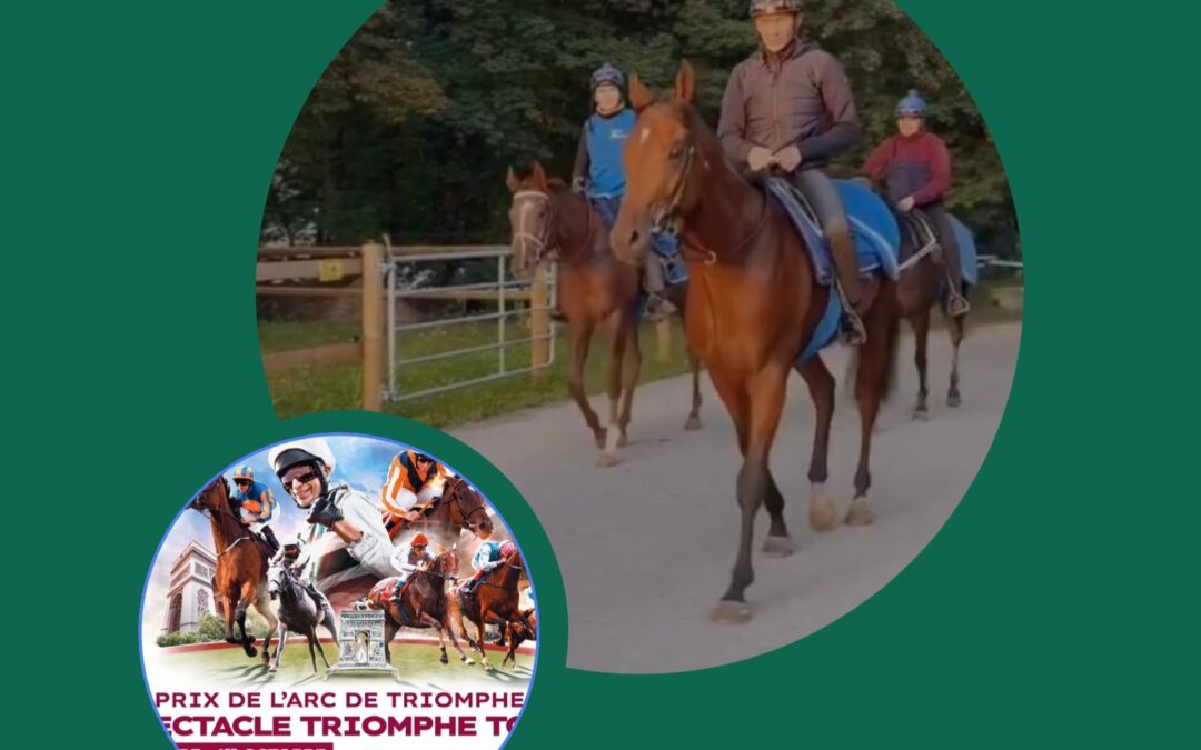 ARBEITEN MIT “MURZA”