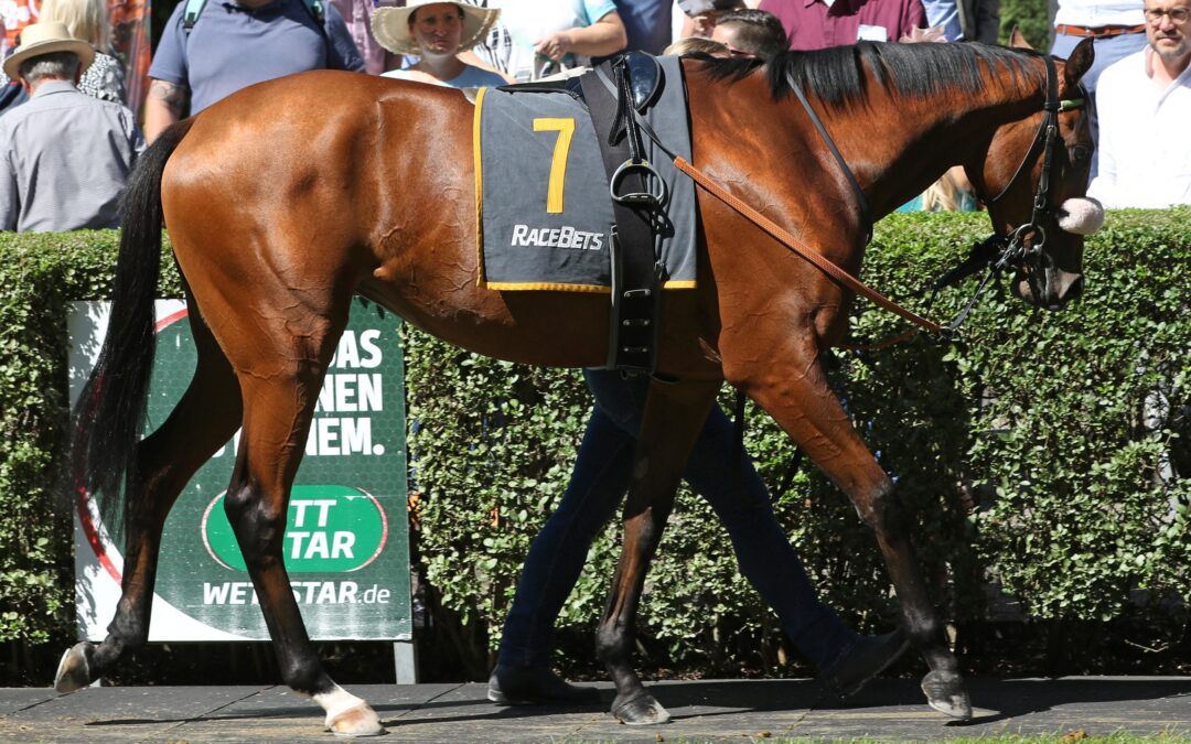 FÜNFTE UNTER KÖNIGINNEN