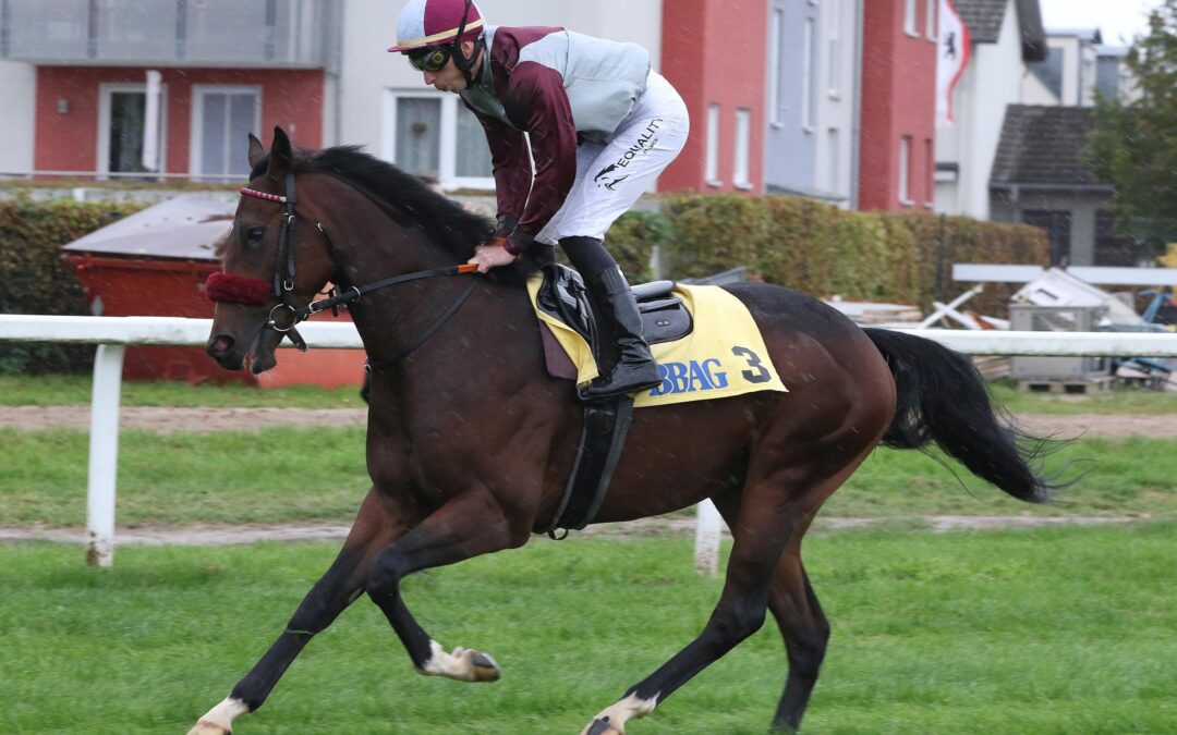 GUTE FORMEN NICHT BESTÄTIGT