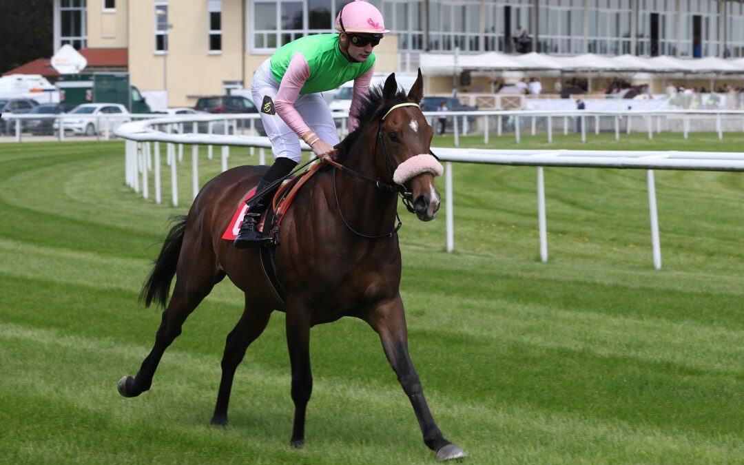 NOCH EIN RECLAMER STARTER