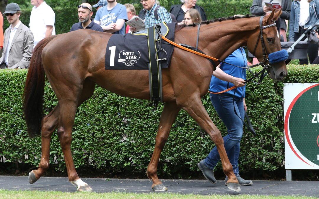 DRITTER PLATZ IN HALLE